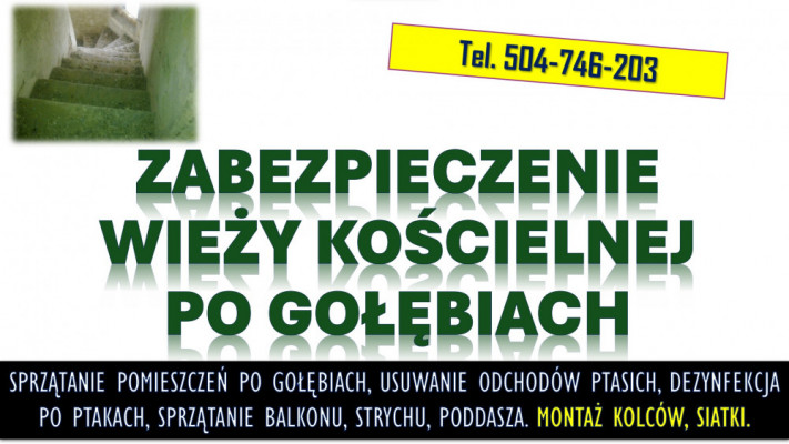 Sprzątanie po gołębiach. Tel. 504-746-203. Ptasich odchodów, cennik