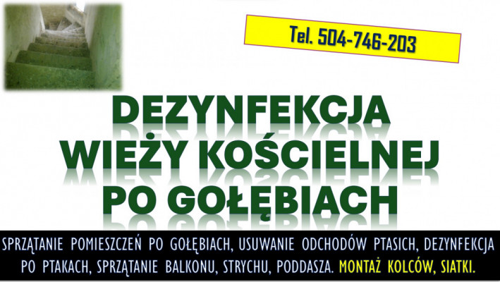 Sprzątanie po gołębiach. Tel. 504-746-203. Ptasich odchodów, cennik