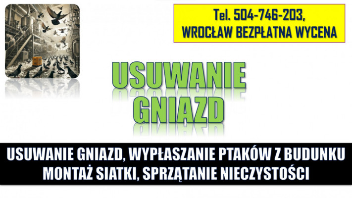 Wypłaszanie gołębi, zwalczanie gołębi, tel. 504-746-203, usuwanie