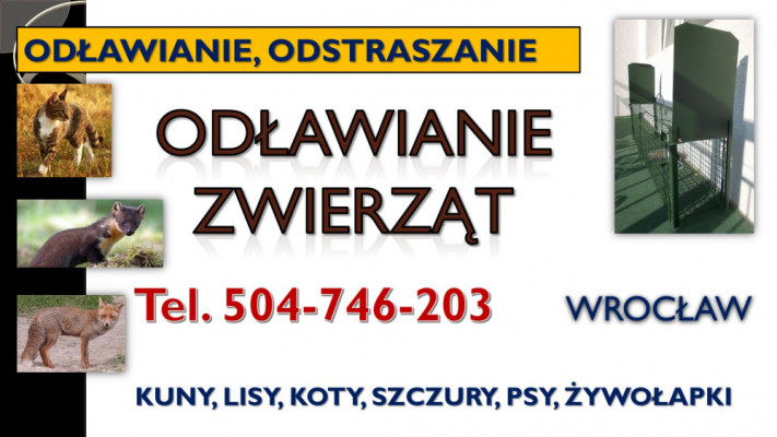 Pułapka na kuny, lisy,  Wrocław, tel. 504-746-203. Żywołapka, cena