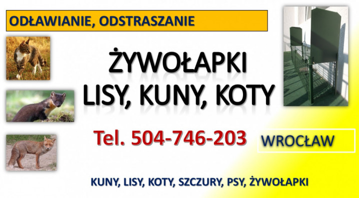 Pułapka na kuny, lisy,  Wrocław, tel. 504-746-203. Żywołapka, cena