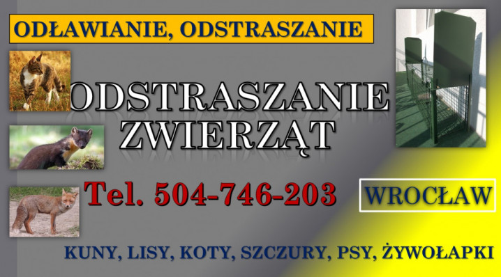Pułapka na kuny, lisy,  Wrocław, tel. 504-746-203. Żywołapka, cena