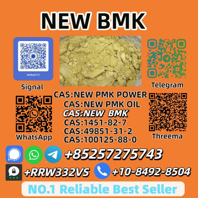 Reliable Global Supplier BMK Power 5449-12-7