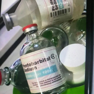 Zamów Barbituran Sodu Pentobarbital - Kup Nembutal Oral Solution Onlin