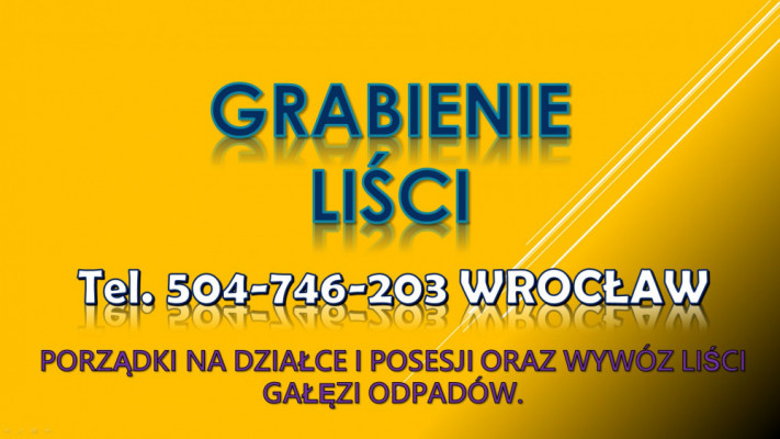 Usługi grabienia liści, tel. 504-746-203. Cennik Wrocław,