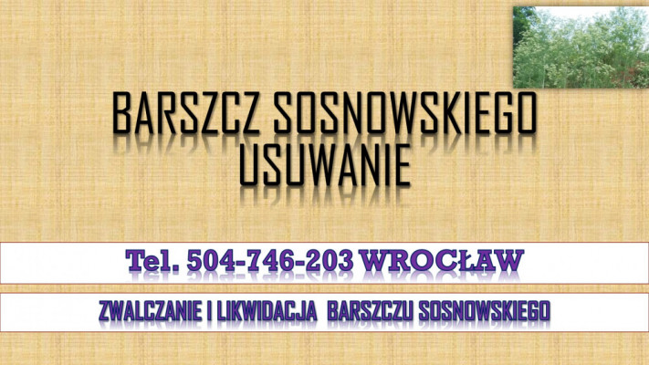 Likwidacja barszczu Sosnowskiego, tel. 504-746-203, Cennik, usunięcie