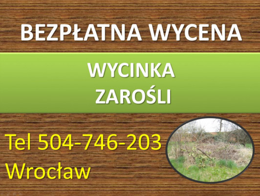 Karczowanie działki, cena, tel. 504-746-203, Wrocław, czyszczenie