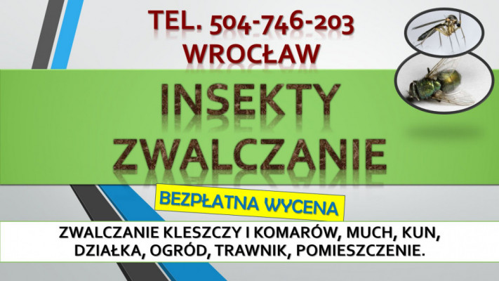 Oprysk na kleszcze, cena, t. 504-746-203, Wrocław. Zwalczanie kleszczy