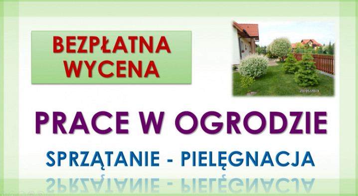 Porządkowanie działek, Wrocław. Tel. 504-746-203, sprzątanie ogródka