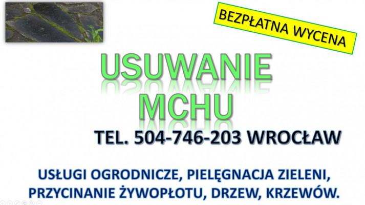 Usuwanie mchu z kostki, Wrocław, tel. 504-746-203. Czyszczenie kostki