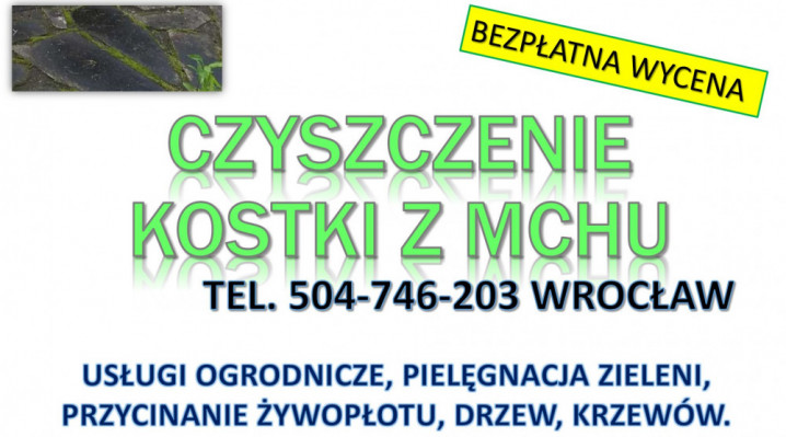 Usuwanie mchu z kostki, Wrocław, tel. 504-746-203. Czyszczenie kostki