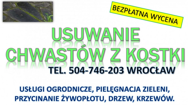 Usuwanie mchu z kostki, Wrocław, tel. 504-746-203. Czyszczenie kostki