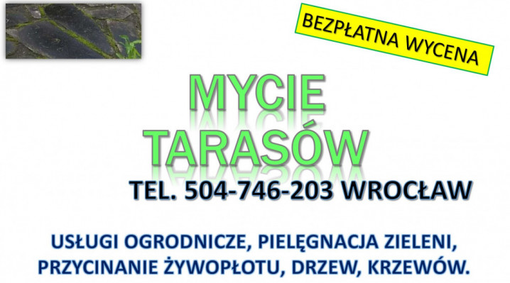 Usuwanie mchu z kostki, Wrocław, tel. 504-746-203. Czyszczenie kostki