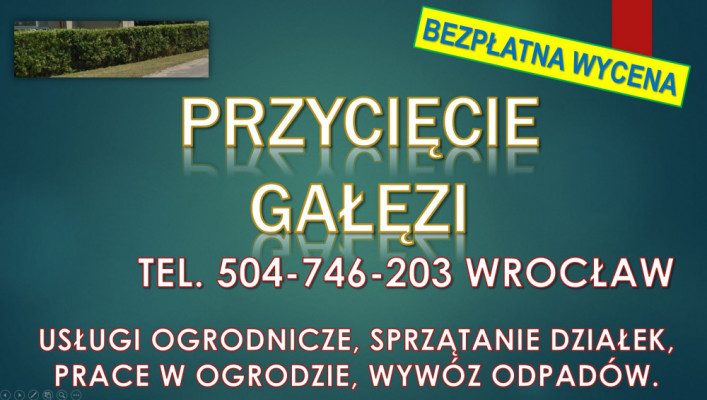 Obcięcie żywopłotu, t 504746203, Wrocław, cena.  Skrócenie, przycięcie