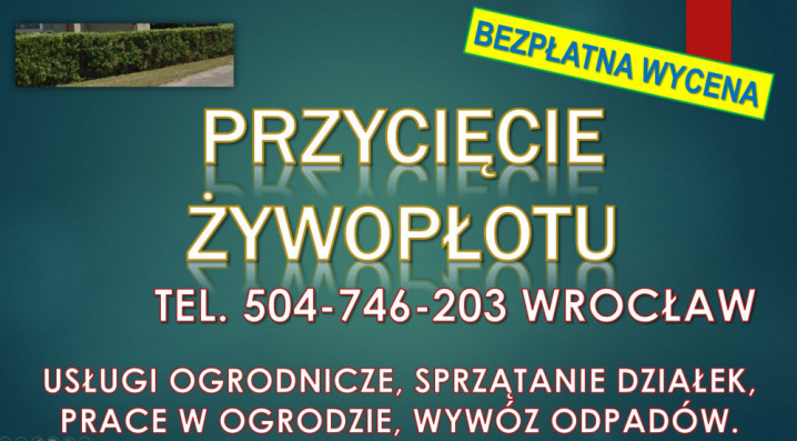 Obcięcie żywopłotu, t 504746203, Wrocław, cena.  Skrócenie, przycięcie