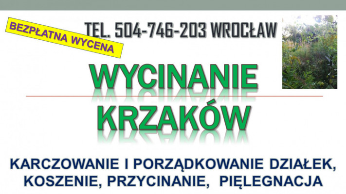 Wycinanie krzaków, cena, tel 504-746-203. Karczowanie zarośli, Wrocław