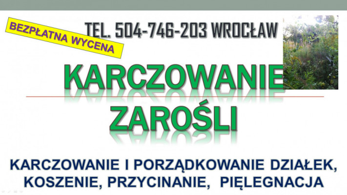Wycinanie krzaków, cena, tel 504-746-203. Karczowanie zarośli, Wrocław
