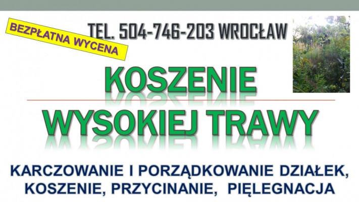Wycinanie krzaków, cena, tel 504-746-203. Karczowanie zarośli, Wrocław
