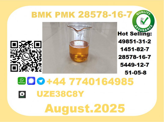 CAS 28578-16-7 BMK PMK Certified Factory Supply