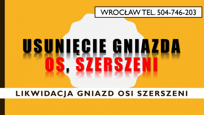 Likwidacja gniazd os i szerszeni, cena, tel. 504-746-203, Wrocław,