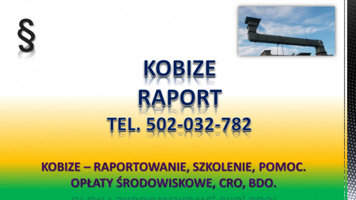 Raportowanie do Kobize cena. tel. 502-032-782. Zgłoszenie, wykaz