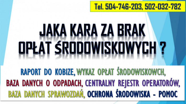 Jaka kara za brak opłat środowiskowych tel. 502-032-782, Wykaz opłat