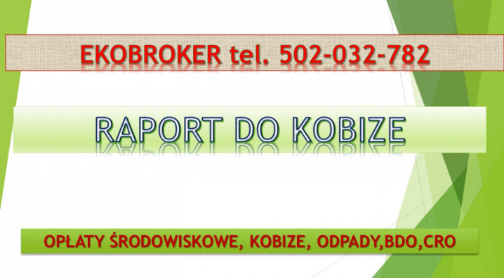 Wypełnienie raportu do Kobize, cena, tel. 504-746-203. Krok po kroku.