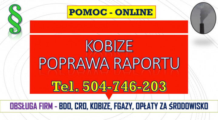 Korekta i poprawa Raportu Kobize, cena 502-032-782. Poprawienie błędów