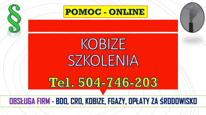 Korekta i poprawa Raportu Kobize, cena 502-032-782. Poprawienie błędów