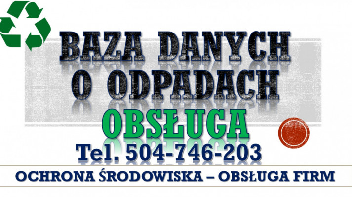 Raport za odpady do BDO, t 504-746-203,Baza danych o odpadach, pomoc