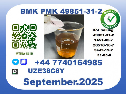 BMK PMK factory，CAS 49851-31-2 worldwide safe&fast delivery