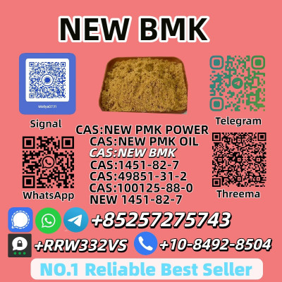 Trusted New BMK Powder 5449-12-7 Supplier