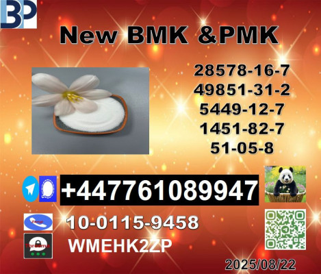 Global supply 1451-82-7 BK4/2b4m and 49851-31-2 BVF and 51-05-8