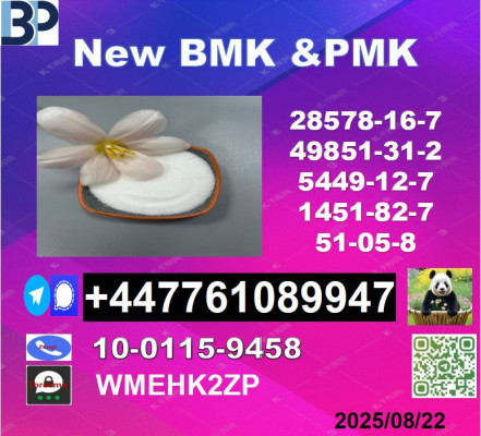 cas 1451-82-7 BK4/2b4m and 49851-31-2 BVF and 51-05-8  Top leader