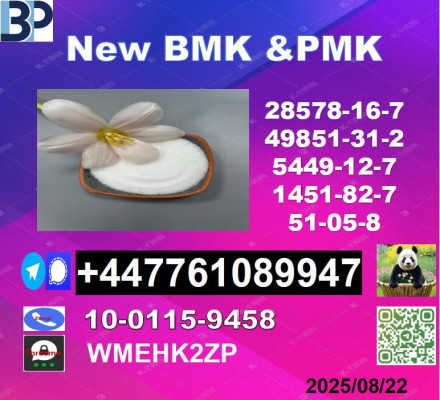 cas 1451-82-7 BK4/2b4m and 49851-31-2 BVF and 51-05-8  Top leader