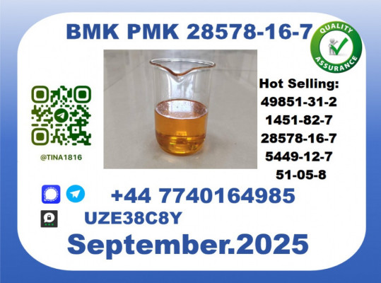 BMK PMK factory，CAS 28578-16-7 worldwide safe&fast delivery