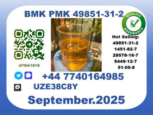 BMK PMK factory，CAS 49851-31-2 worldwide safe&fast delivery