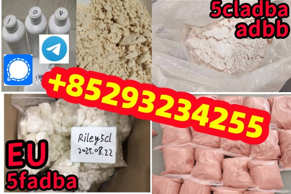 cannabinoid  Buy 5cladba 5fadb 5CL precursor/Buy 6cladba raw material