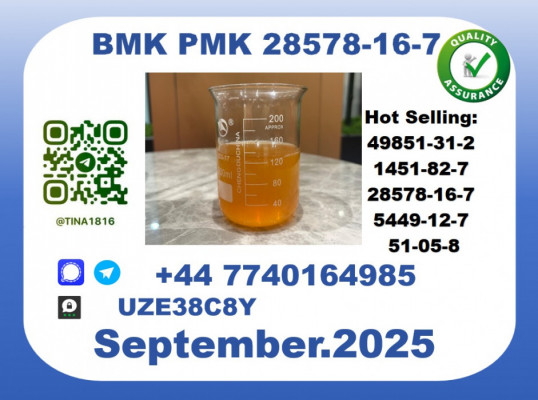 CAS 28578-16-7 BMK PMK Certified Factory Supply