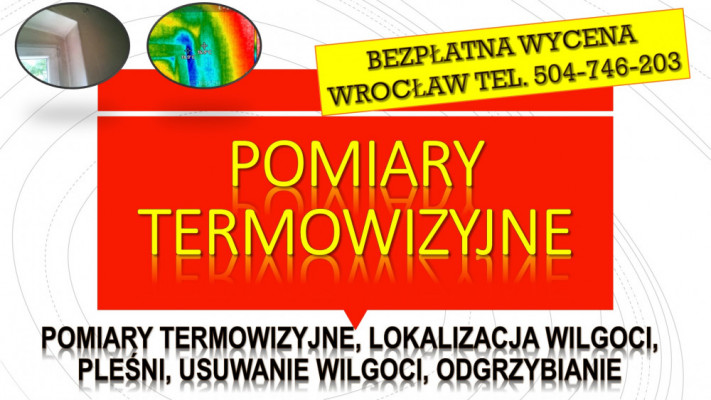 Wykrycie pleśni, tel. 504-746-203. Wrocław, wilgoci, lokalizacja