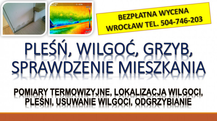 Wykrywanie i przyczyny wilgoci, Wrocław, tel. 504-746-203, cena.