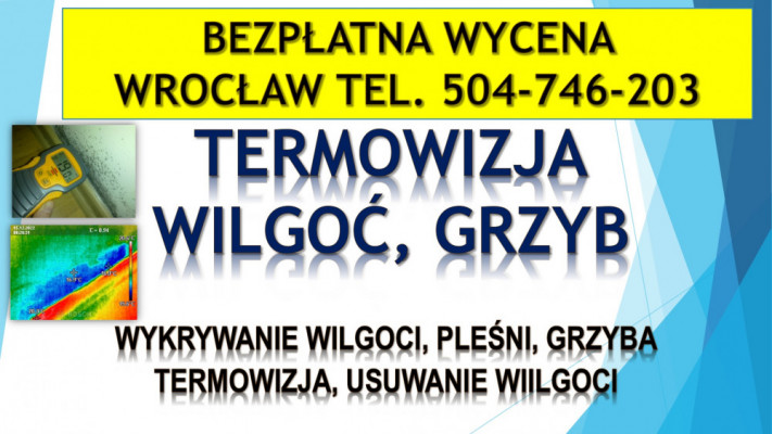 Wykrycie grzyba w mieszkaniu, tel. 504-746-203, Wrocław, lokalizacja