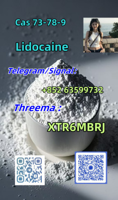 High Quality Lidocaine Hydrochloride CAS 73-78-9 Wholesale Fast and Sa