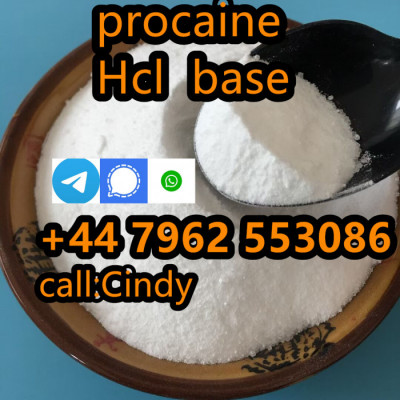 selling Procaine base CAS 59-46-1 /51-05-8 / procaine hcl and base sal