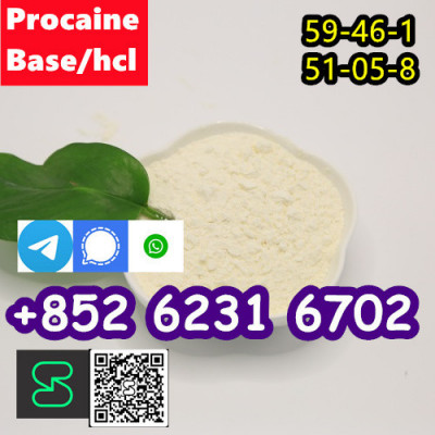 selling Procaine base CAS 59-46-1 /51-05-8 / procaine hcl and base sal