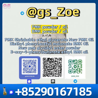 High-Quality New B M K/P M K | C.A.S No. 28578-16-7