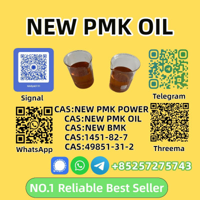 High Purity P.M.K Oil 28578-16-7 Premium Quality for Synthesis