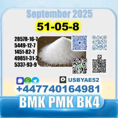 Procaine hcl 51-05-8 bmk bk4/2b4m source factory safe delivery