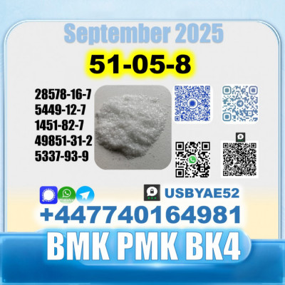 Procaine hcl 51-05-8 bmk bk4/2b4m source factory safe delivery