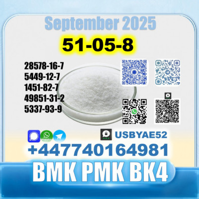 Procaine hcl 51-05-8 bmk bk4/2b4m source factory safe delivery